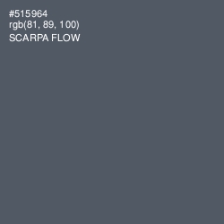 #515964 - Scarpa Flow Color Image